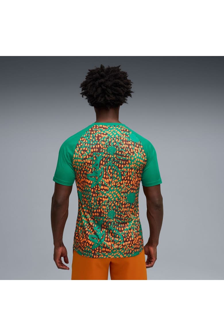 Men's Puma Green Ivory Coast National Team Pre-Match Jersey, Alternate, color, Green