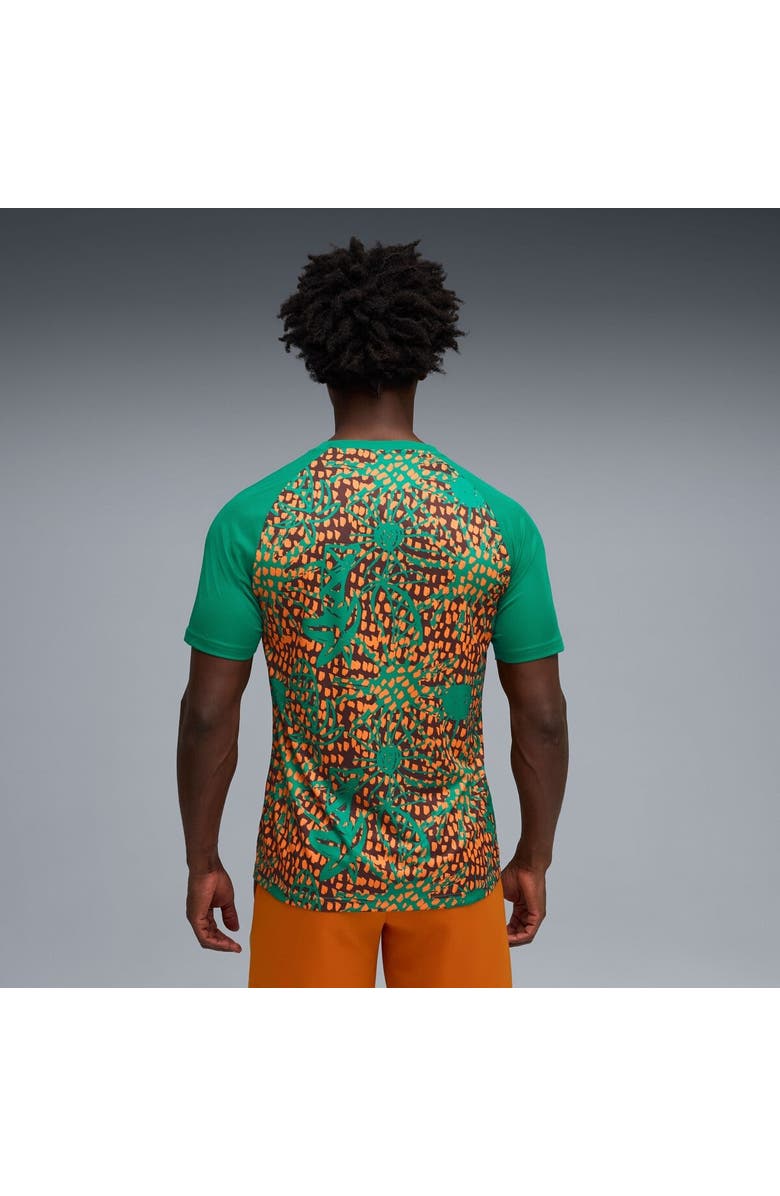 PUMA Men's Puma Green Ivory Coast National Team Pre-Match Jersey, Alternate, color, Green