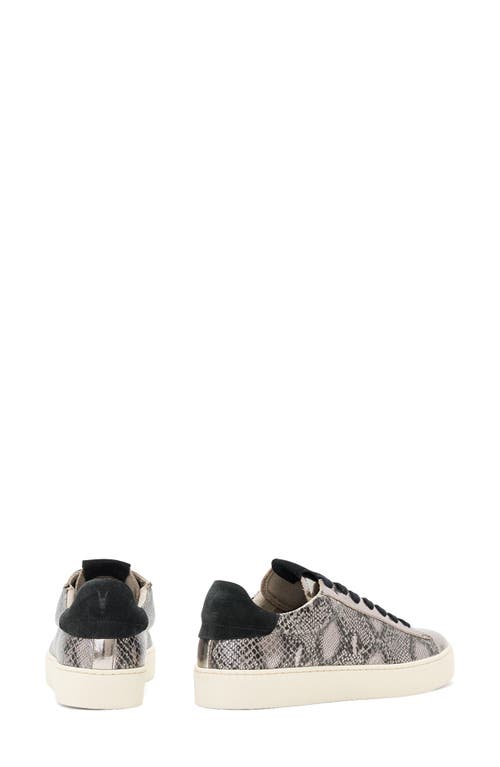 Allsaints Leather Snake-effect Shana Sneakers In Gray