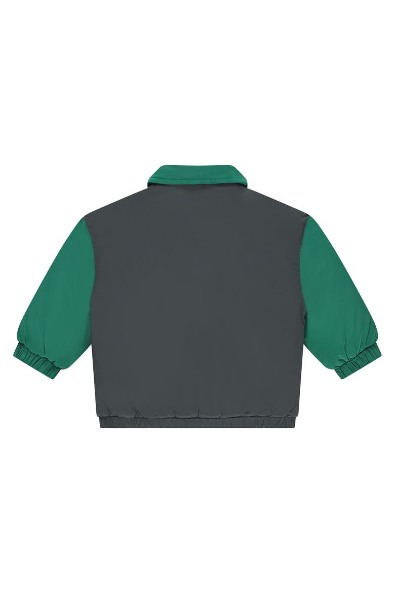 Color-Block Nylon Bomber Jacket, Alternate, color, Antra