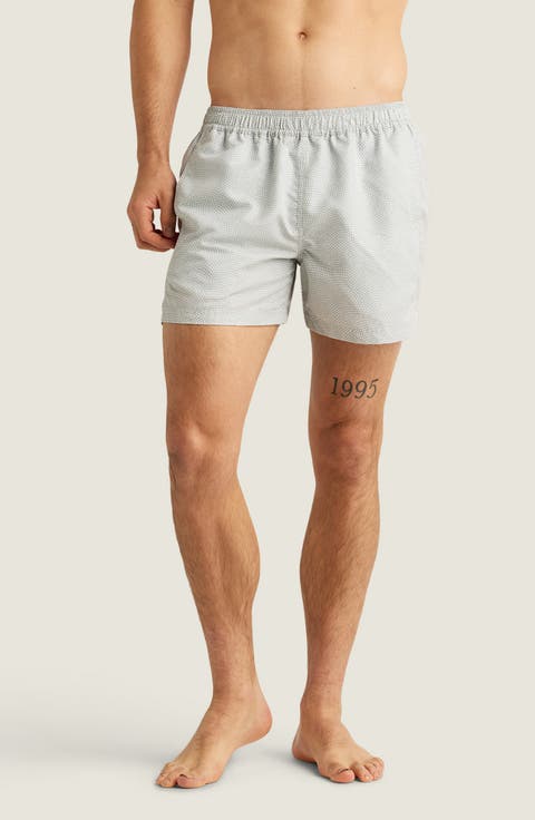 Sebastian Print 4-Inch Nylon Swim Trunks