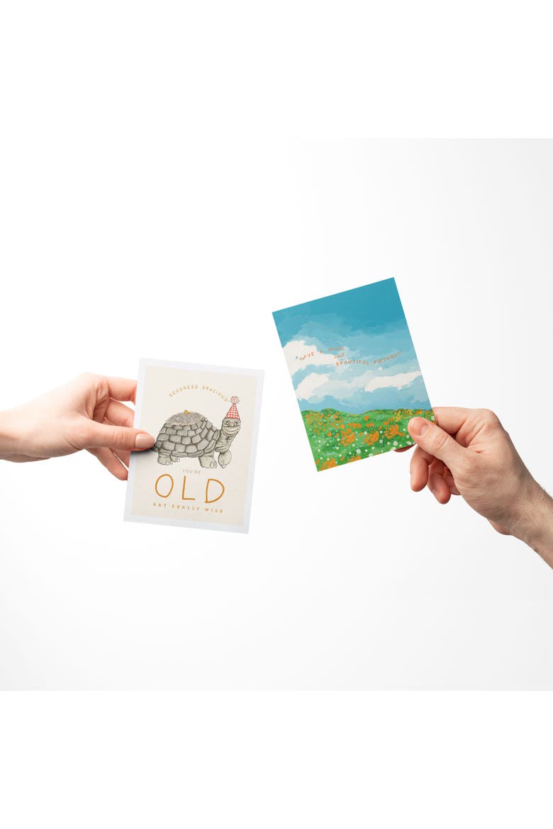 Birthday Greeting Card Pack Sets (3 ct, Assorted) Old Turtle, Birthday Wishes Tea, Wild Birthday, Alternate, color, Multi-Pack