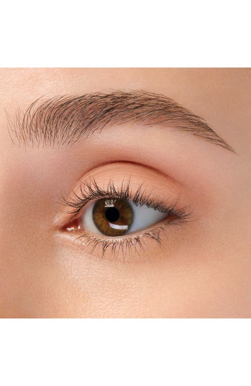 Anna Sui Matte Eye Color