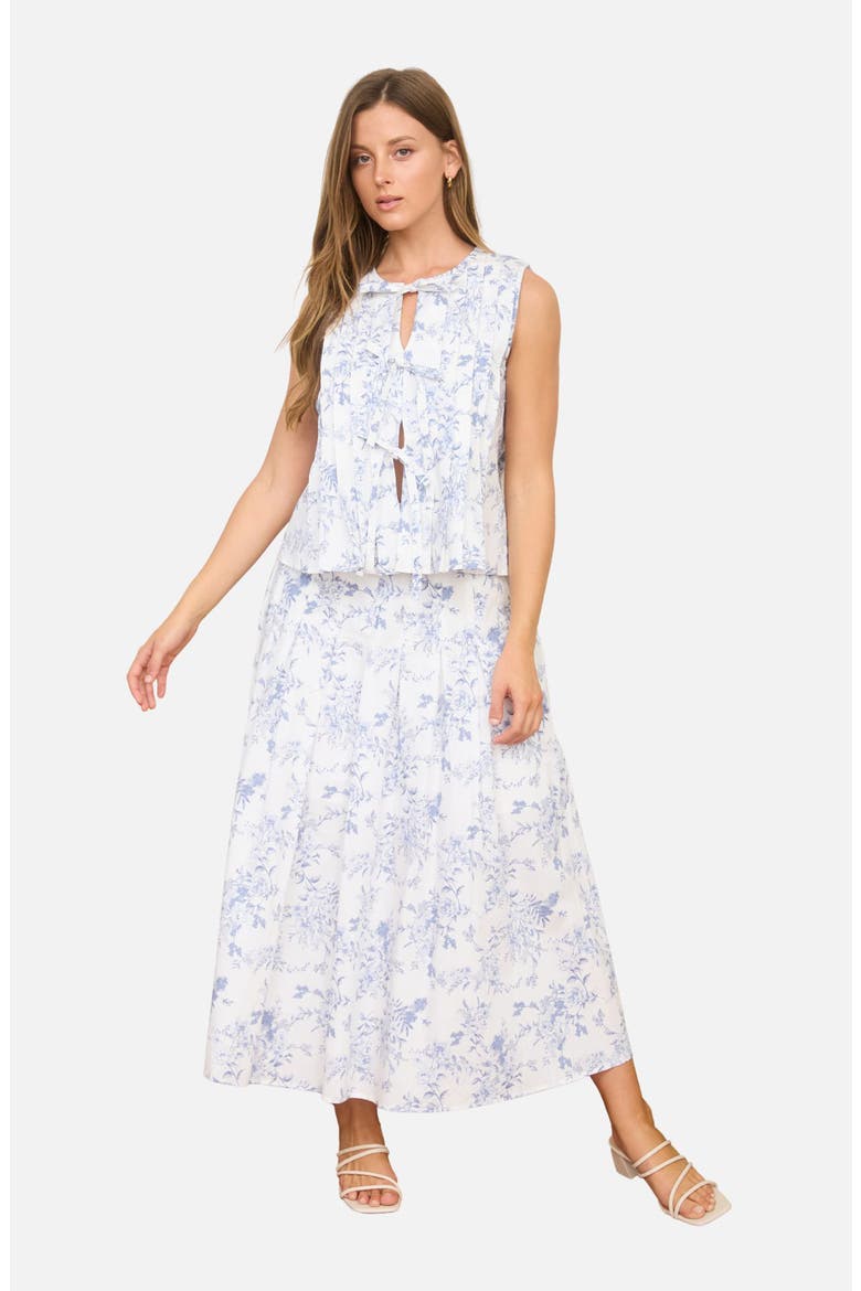 Floral Toile Pleated Midi Skirt, Alternate, color, BLUE MULTI