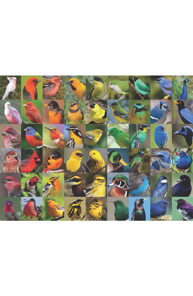 NEW YORK PUZZLE COMPANY Rainbow of Birds 1000 Piece Puzzle, Alternate, color, NO COLOR