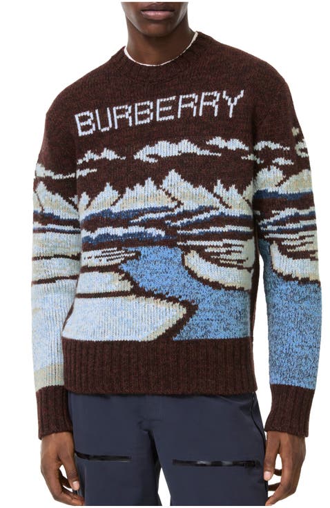 Alpine Wool Sweater