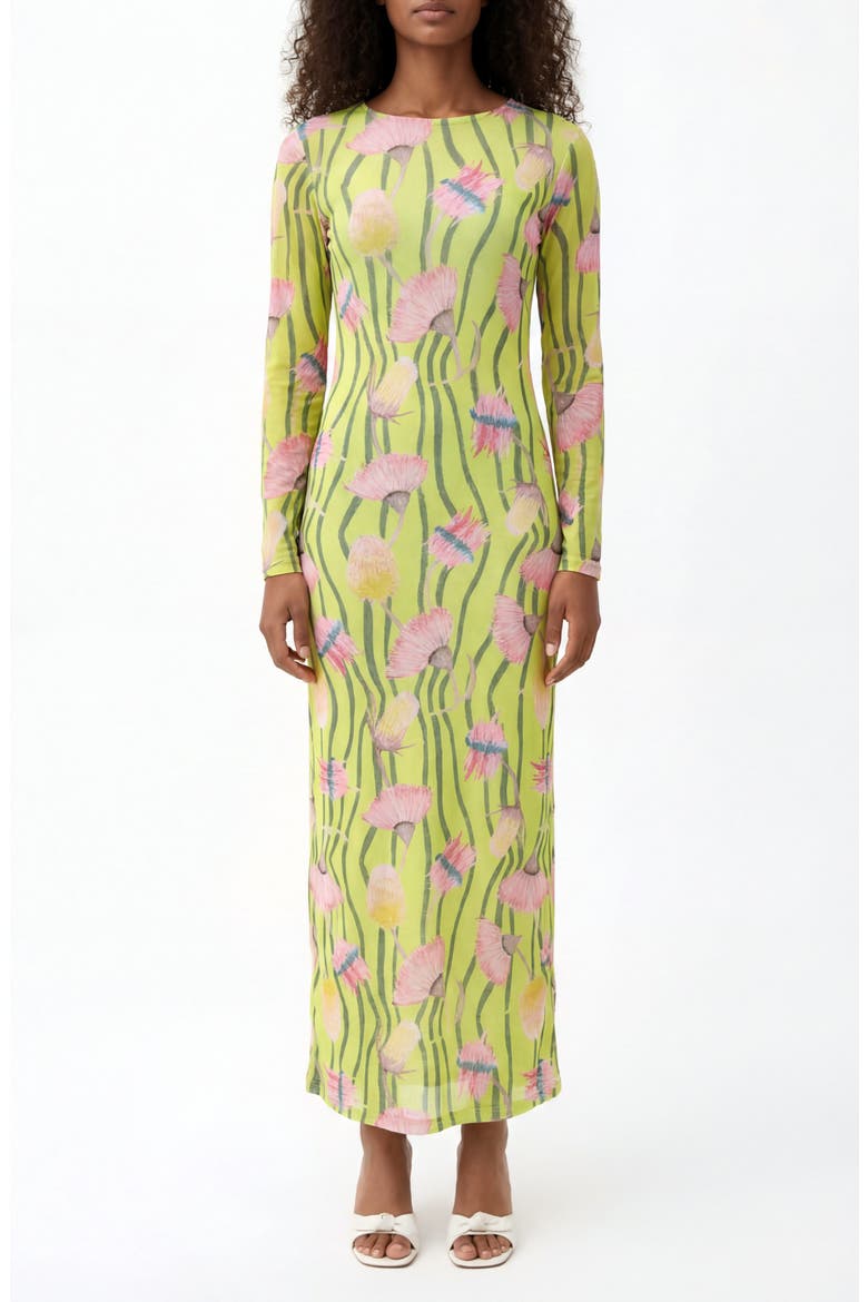 Nellas Paisley Long Sleeve Mesh Maxi Dress, Main, color, AUSSIE DESERT FLOWERS