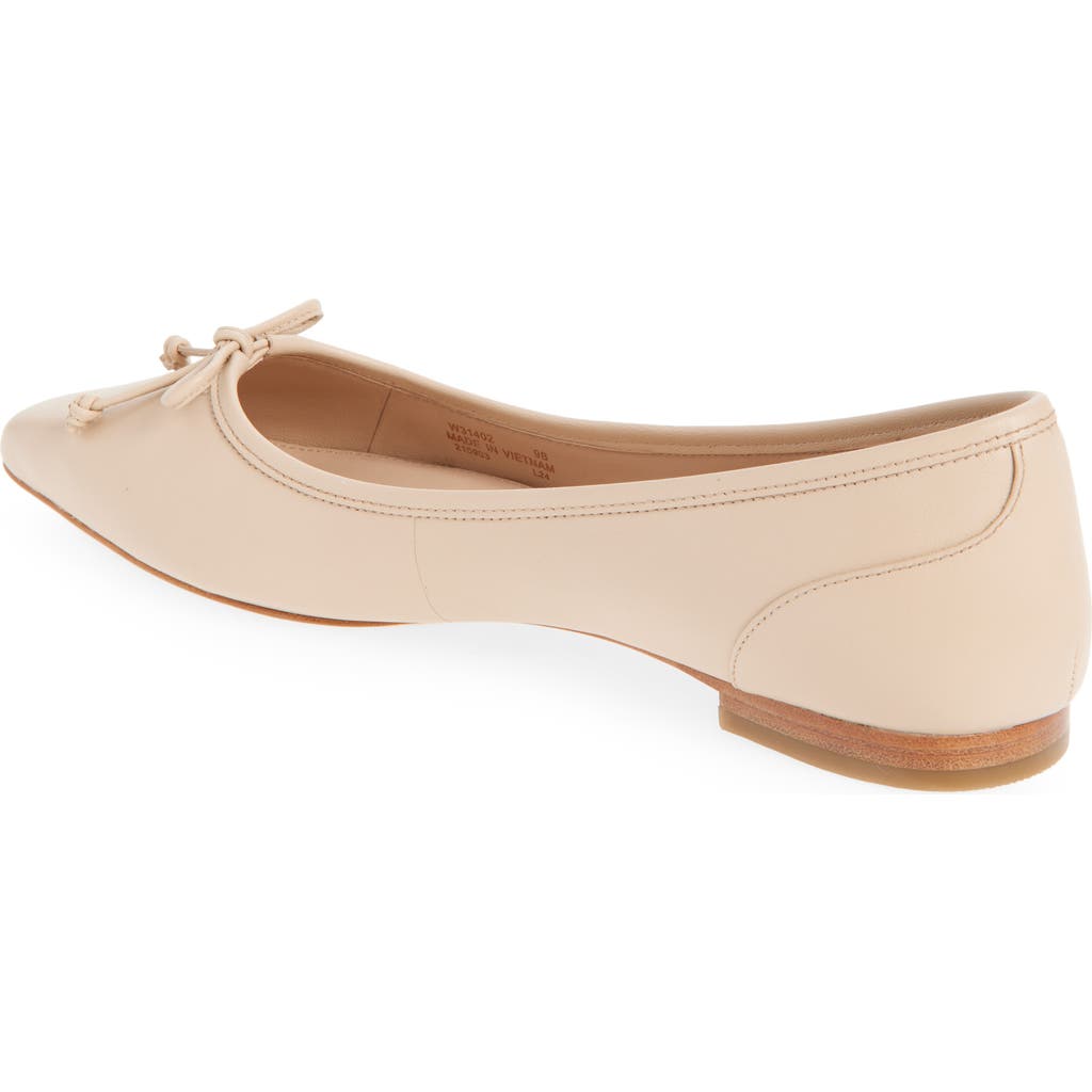 Cole Haan Chlea Pointed Toe Ballet Flat In Porcelain Leather