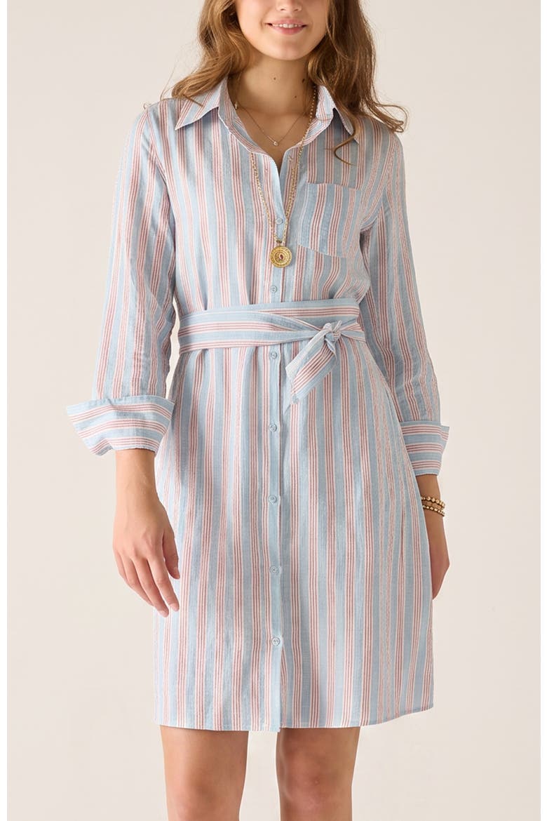 Charlie Short Shirt Dress, Main, color, Liberty Stripe