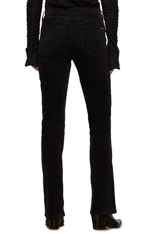 Sanctuary High Waist Bootcut Velveteen Pants In Black