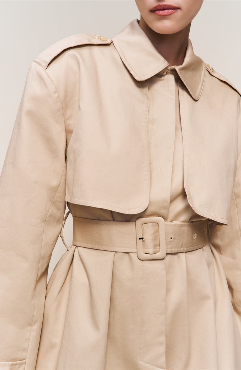 Guizio Thea Trench Coat, Alternate, color, Soft Taupe