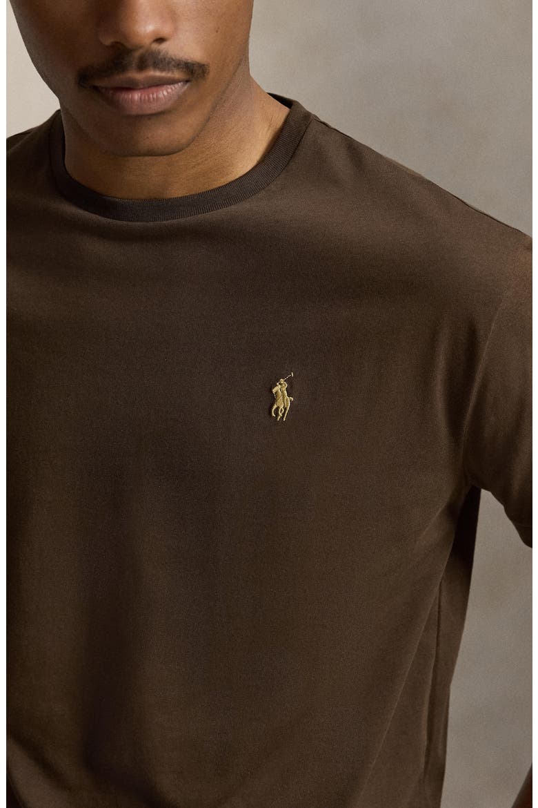 Classic Fit Solid Cotton Jersey T-Shirt, Alternate, color, NUTMEG BROWN
