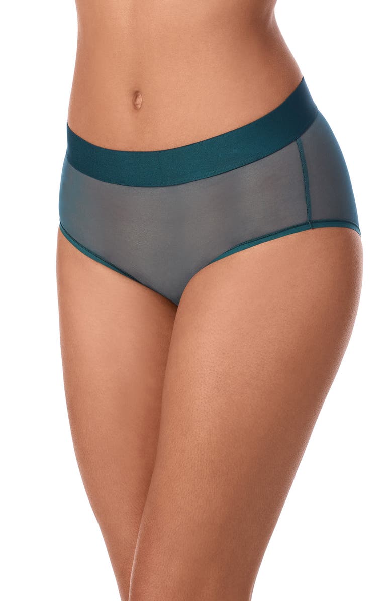 DKNY Sheer Mesh Briefs, Main, color, Dark Sea