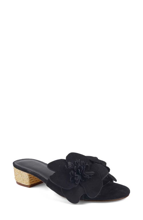 Zigi Artisan Autumn Block Heel Sandal In Black