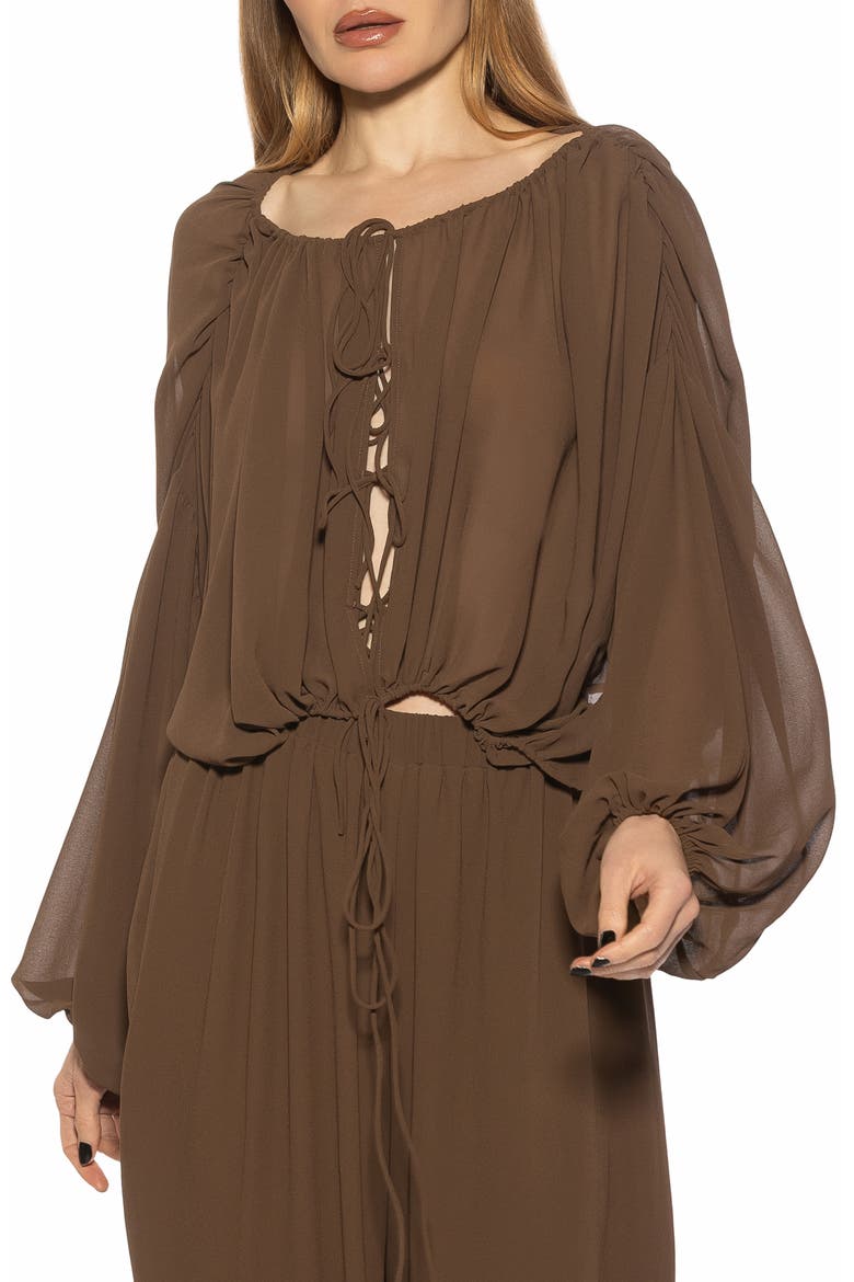 Luca Blouson Sheer TOp, Main, color, BROWN