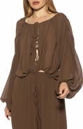 Alexia Admor Luca Blouson Sheer TOp