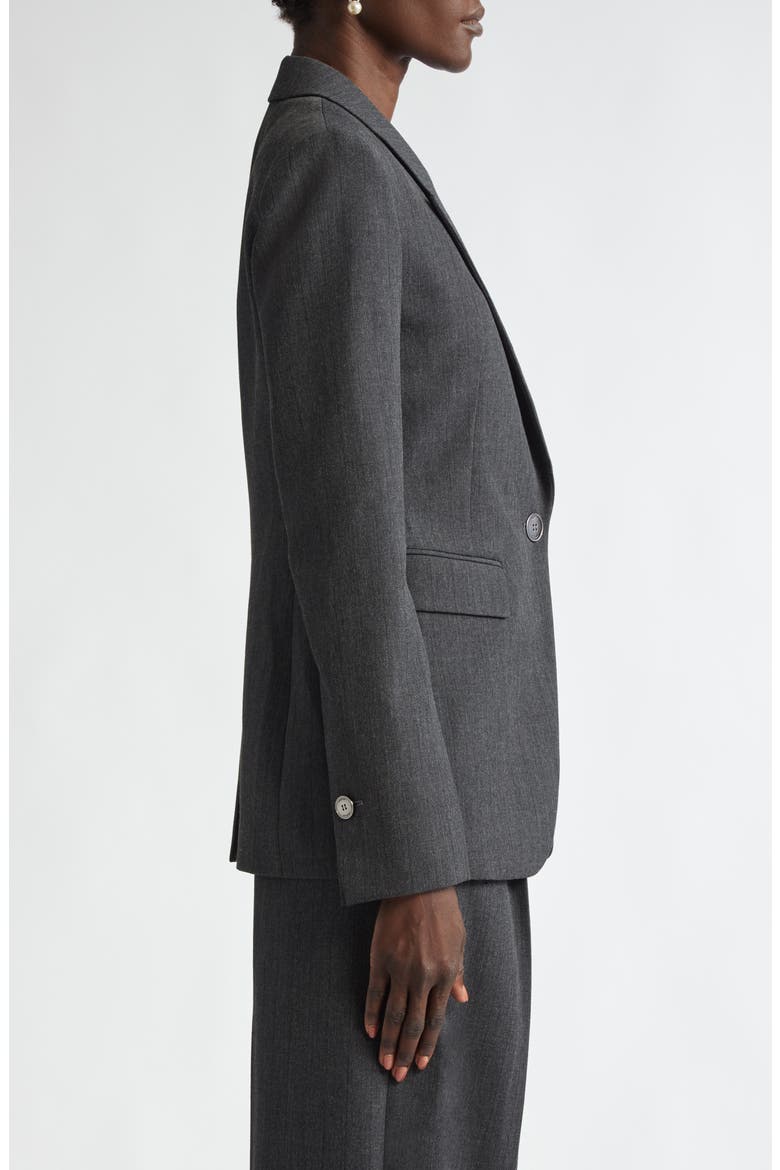 Pinstripe Luxe Suiting Jacket, Alternate, color, SHADOW