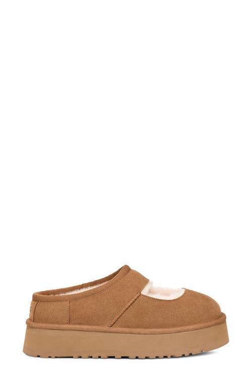 Shop Ugg(r) Bea Genuine Shearling Lined Platform Mary Jane In Chestnut