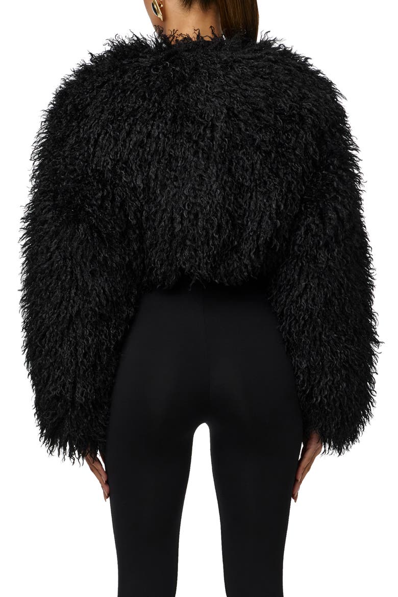 Faux Fur Plush Cropped Jacket, Alternate, color, BLACK