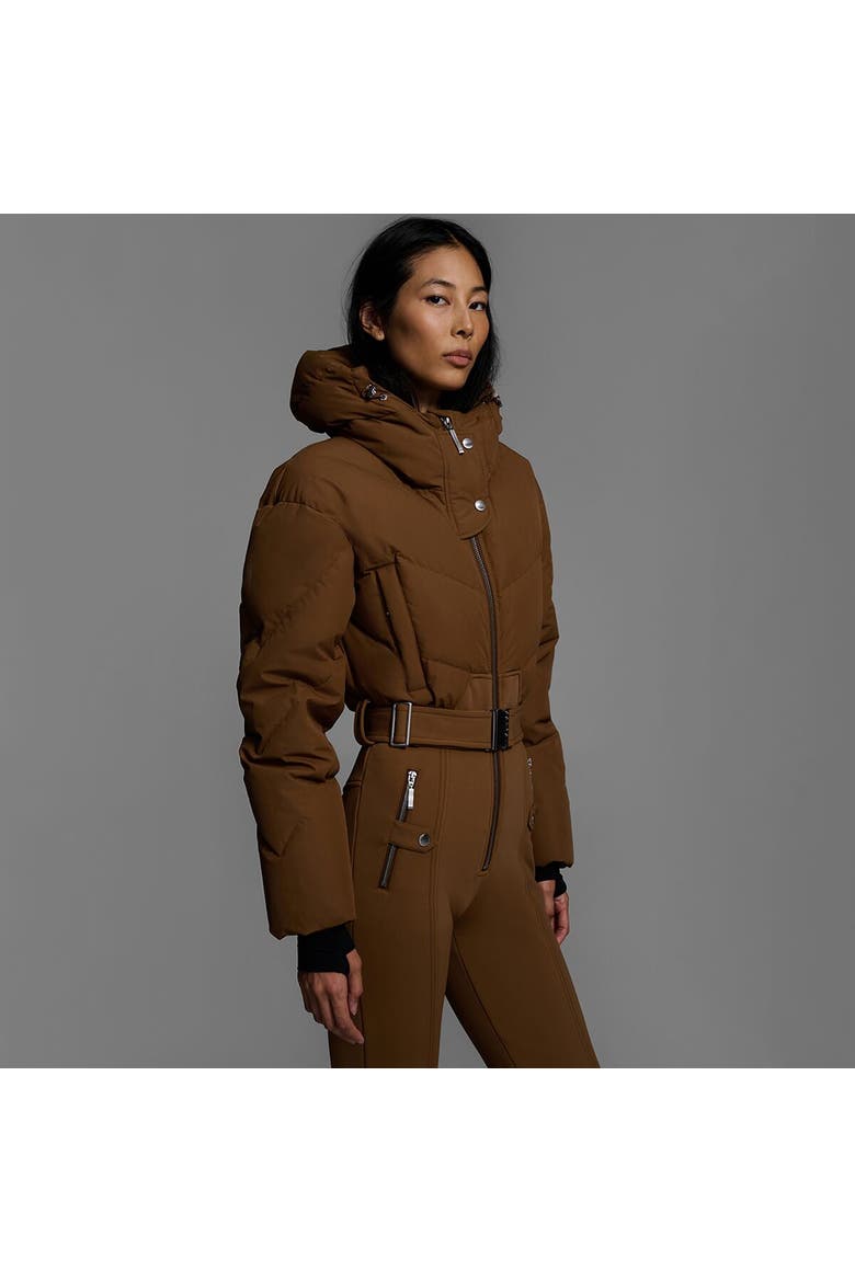 Ajax Snow Suit - Women's, Alternate, color, Sepia