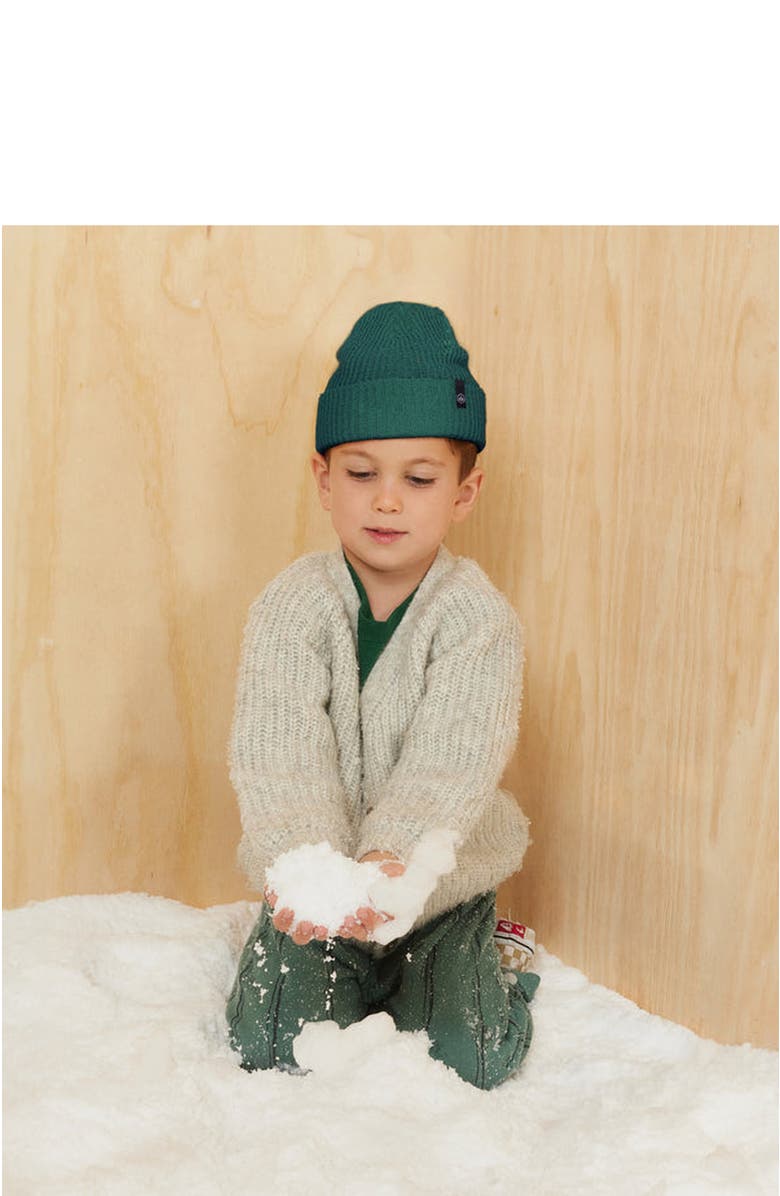 Hemlock Ranger Toddler Beanie, Alternate, color, Emerald