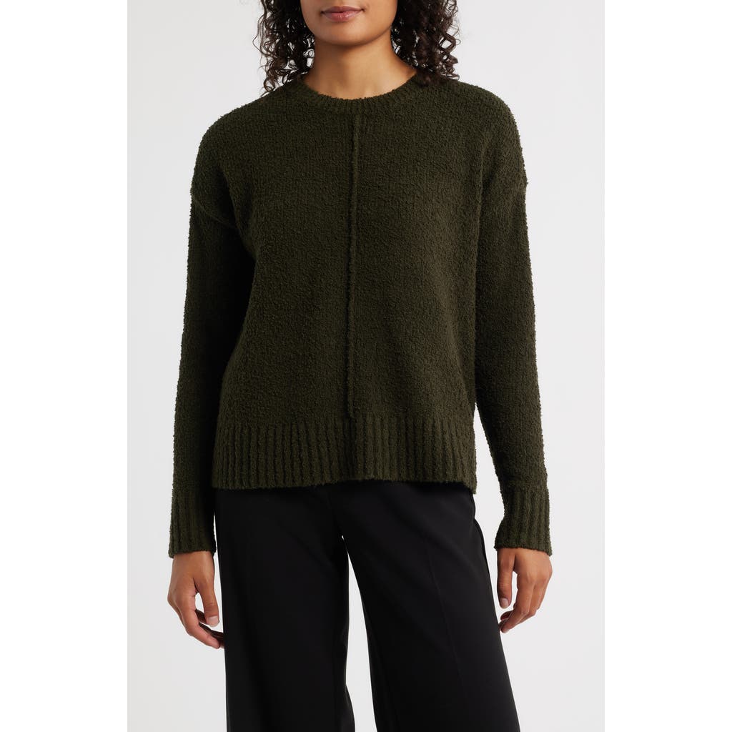 Eileen Fisher Crewneck Organic Cotton & Wool Blend Sweater In Green