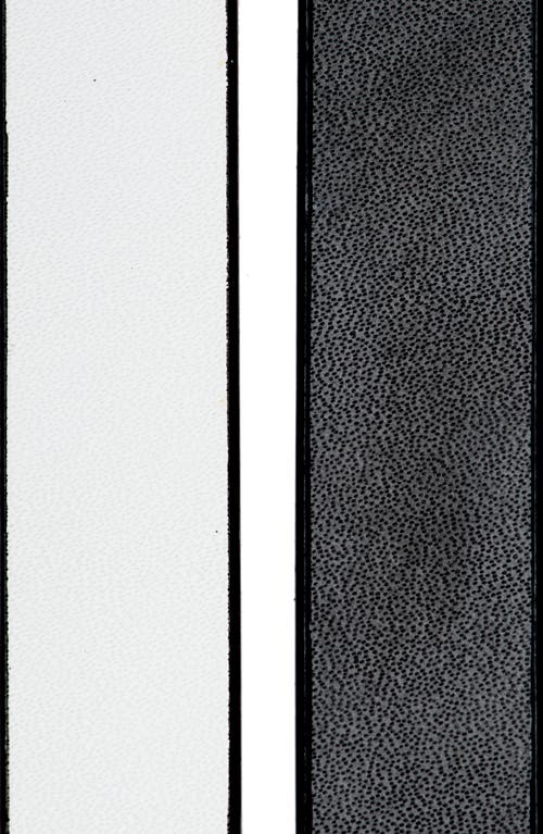 Kate Spade New York 2-for-1 Assorted Belts 2-for-1 Assorted Belts