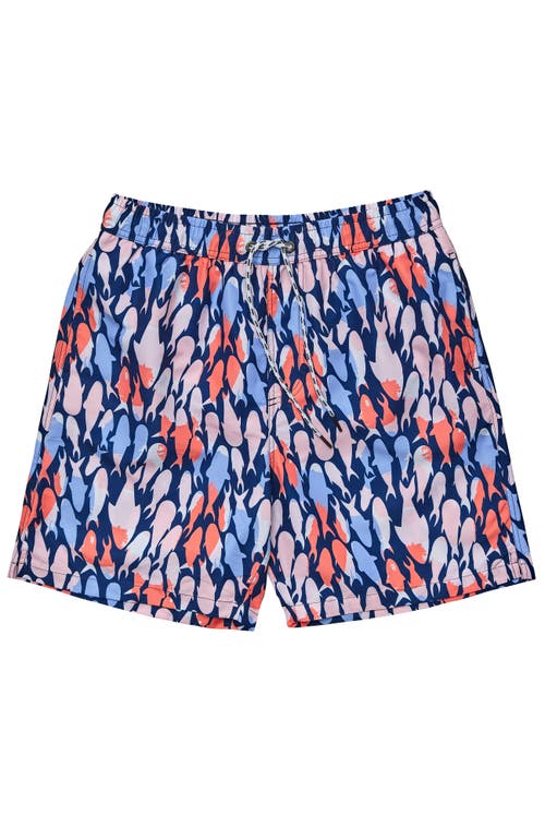 Snapper Rock Printed Swim Shorts In Multi