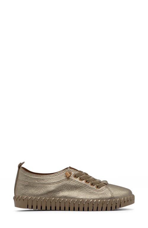 Bottero Bottwister Verao Xxiii Perforated Leather Sneaker