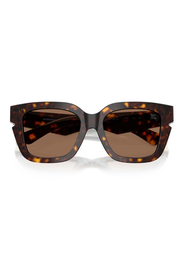 54mm Square Sunglasses, Alternate, color, DARK HAVANA / DARK BROWN