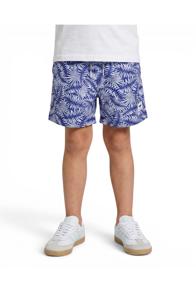 Boy's Fiesta Jr. Swim Shorts, Main, color, Navy