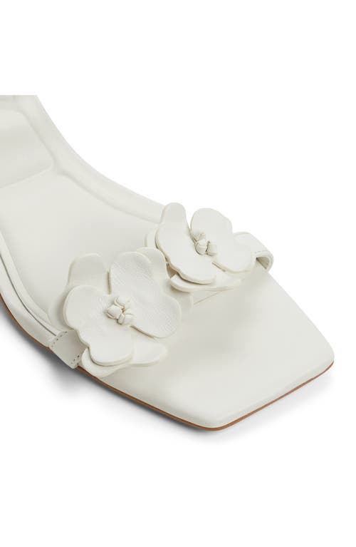 Aldo Daisyrose Ankle Strap Kitten Heel Sandal