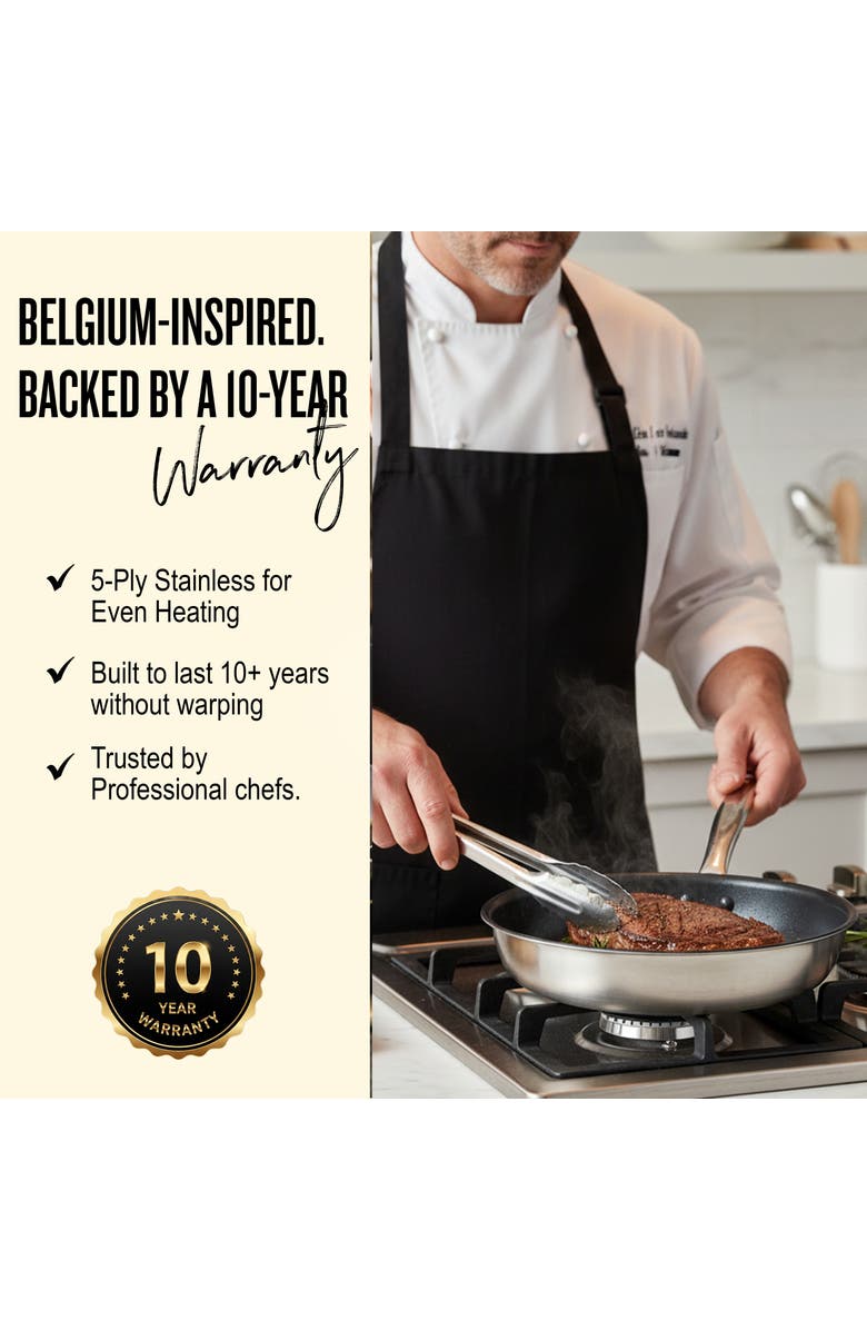 Alva Maestro Nonstick Stainless Steel Frying Pan - 5-Ply, Alternate, color, 9.5-Inch