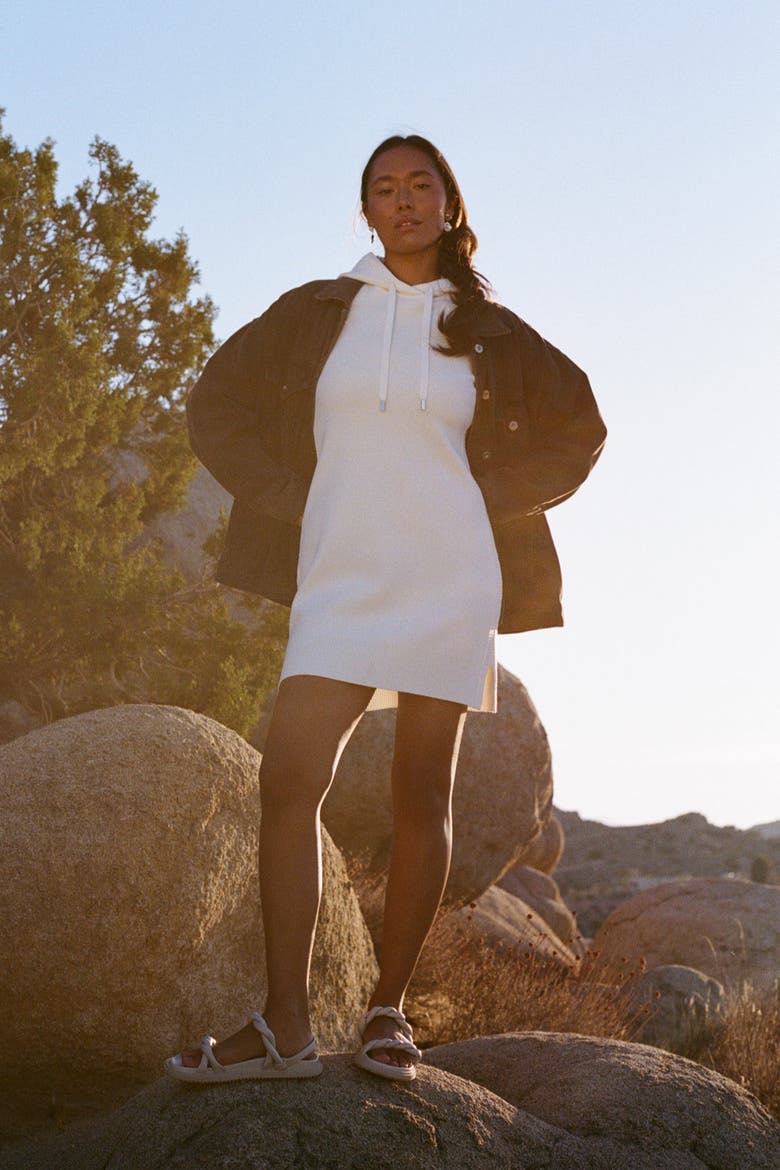The Sweater Hoodie Mini Dress, Alternate, color, SALT
