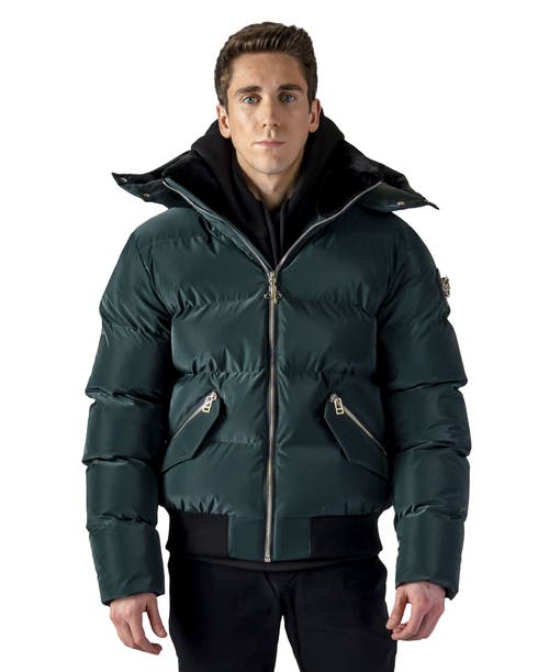 Woodpecker Woody Bomber Quilted Coat In Green