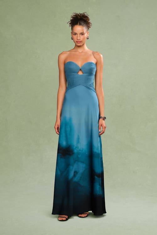 Amur Cova Printed Gown In Blue