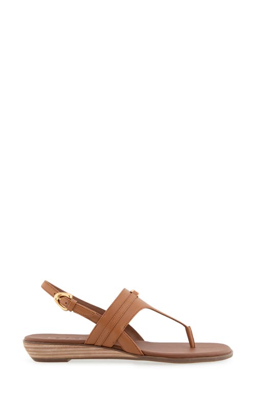 AEROSOLES AEROSOLES GEMAL SLINGBACK SANDAL 