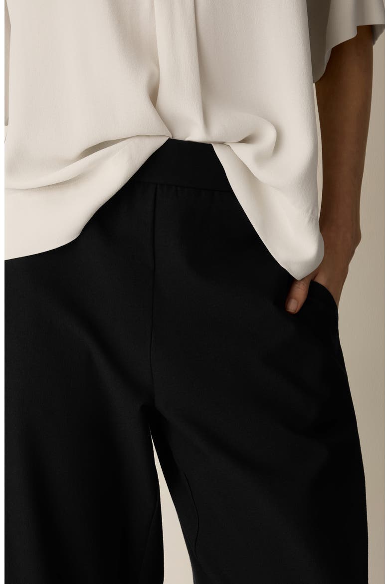 High Waist Ankle Pants, Alternate, color, BLACK