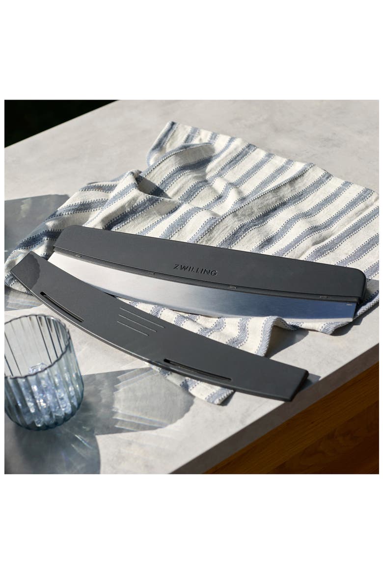 BBQ+ Stainless Steel Pizza Cutter, Alternate, color, STAINLESS STEEL