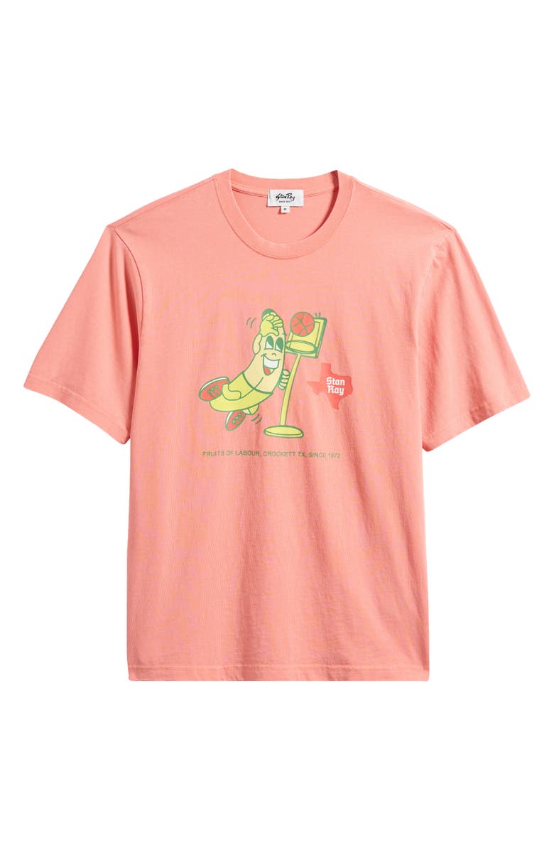 STAN RAY Stan Dunk Cotton Graphic T-Shirt, Alternate, color, Washed Red