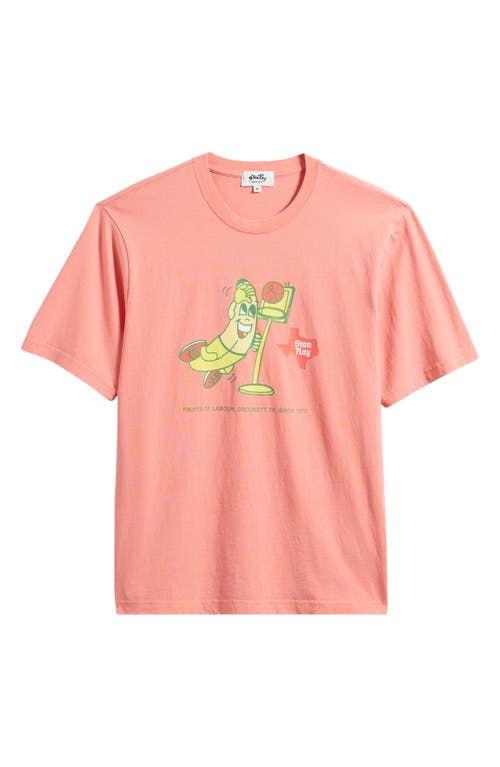 Stan Ray Stan Dunk Cotton Graphic T-shirt In Washed Red