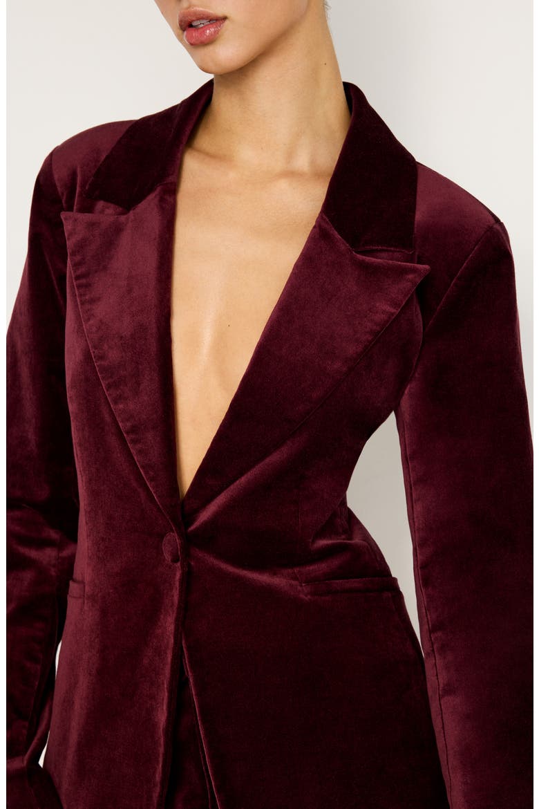 Sculpted Velvet Blazer, Alternate, color, OXBLOOD002