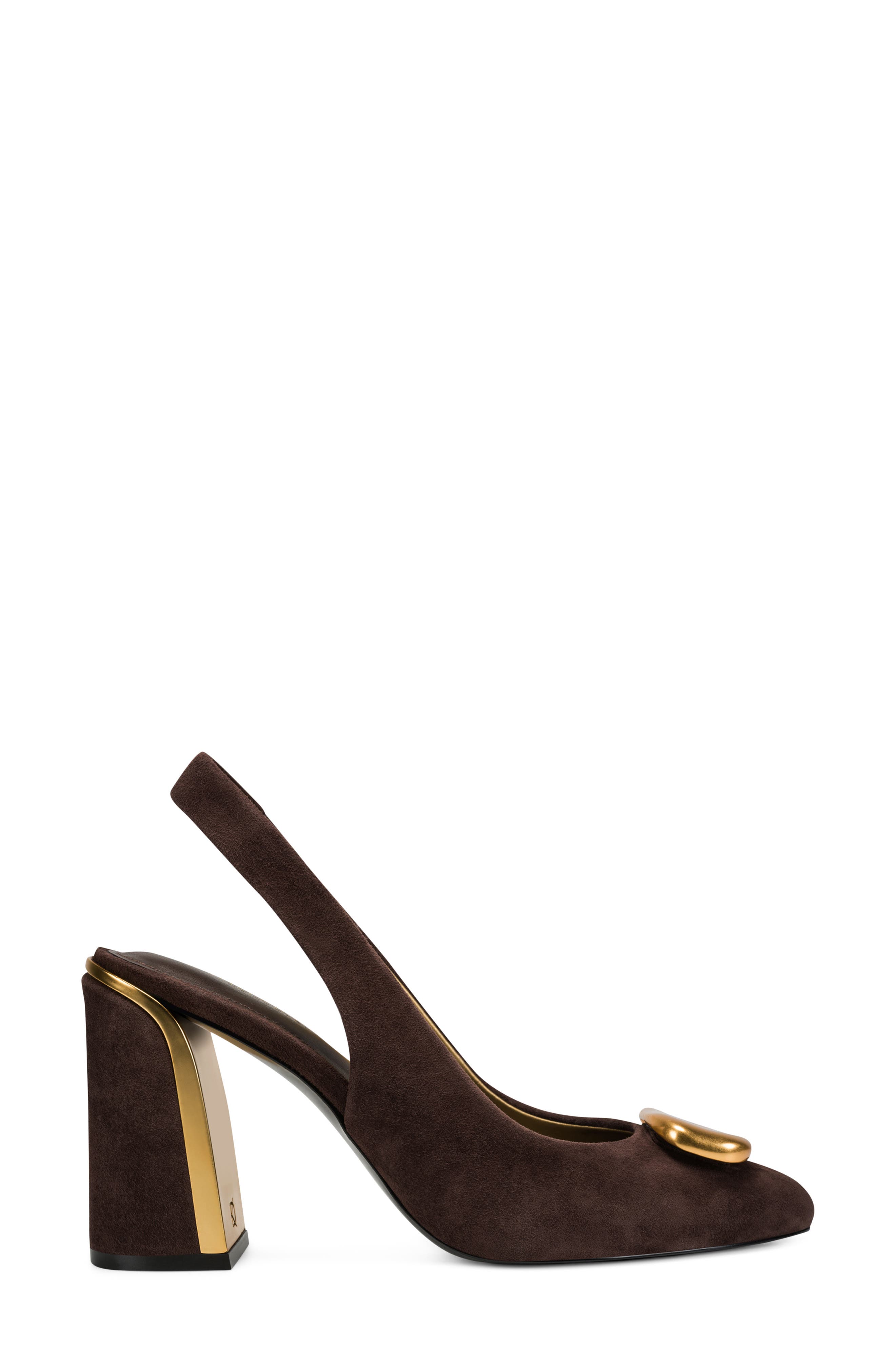 Rebecca Pointed Toe Slingback Pump, Alternate, color, CANYON