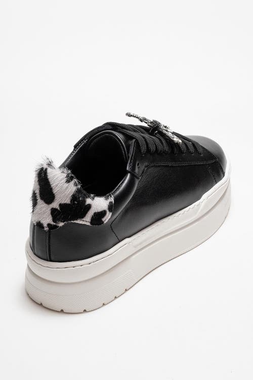 Forever & Always Shoes Laren Leather Buckle Sneakers In Black