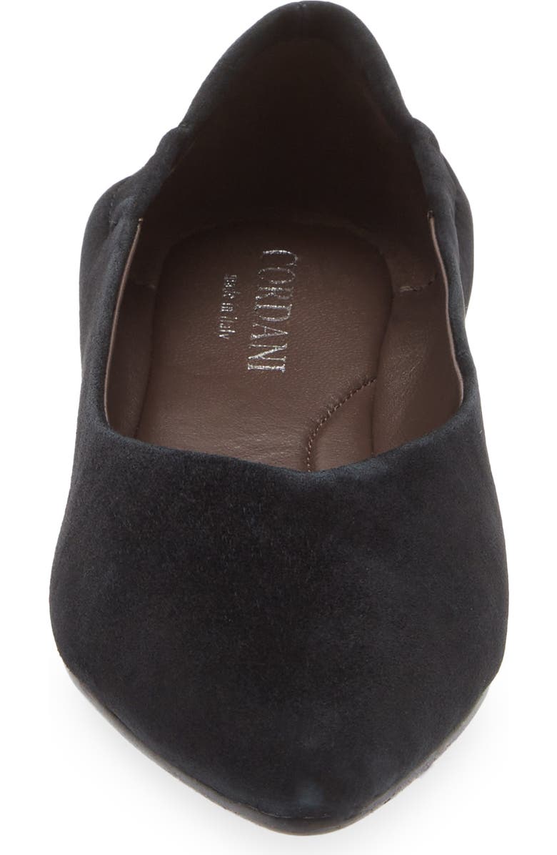 Cordani Mavis Pointed Toe Flat, Alternate, color, Black Suede