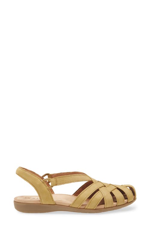 Earth ® Berri Slingback Sandal In Brown