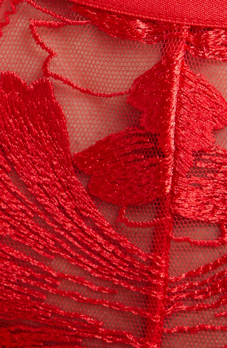 Bluebella Colette Embroidered Thong, Alternate, color,