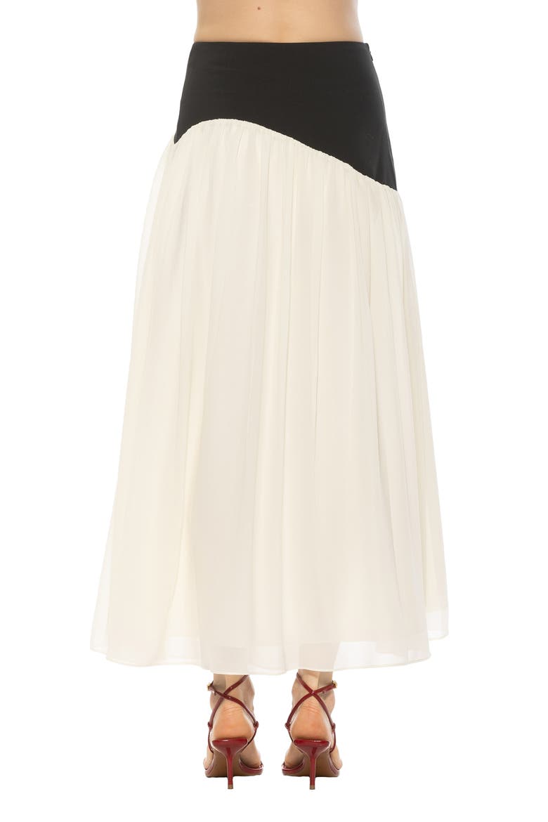 Eris Asymmetric Drop Waist Maxi Skirt, Alternate, color, BLACK/WHITE