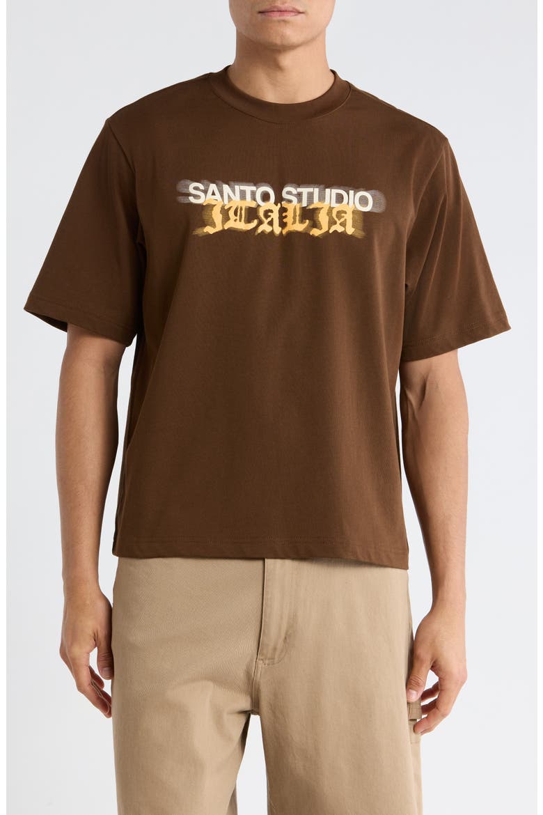 Italia Drappo Boxy Fit Cotton Graphic T-Shirt, Main, color, BROWN