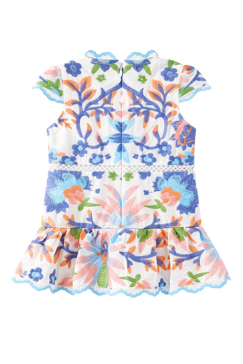 Sarah Embroidered Mini Dress, Alternate, color, Multi